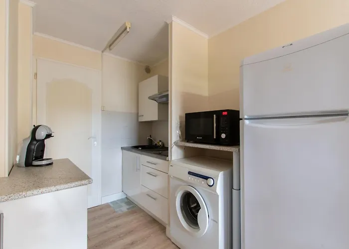 Le Cosmos Avec Terrasse Et Proche Et Commerces * Agde